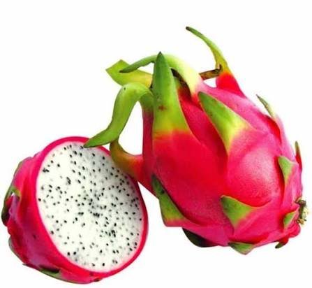  عکس دراگون فروت یا میوه اژدها برای استوری