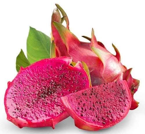  عکس دراگون فروت یا میوه اژدها برای استوری