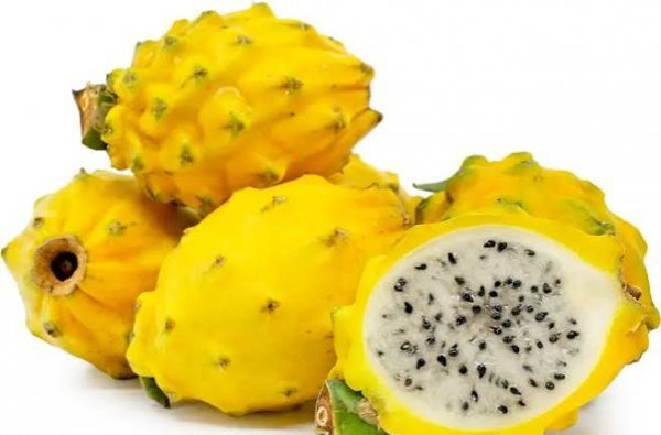  عکس دراگون فروت یا میوه اژدها برای استوری