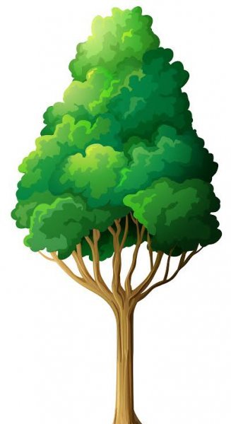  عکس درخت هلو کارتونی