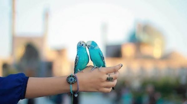  عکس پروفایل هنری برای واتساپ و تلگرام و اینستا