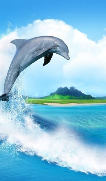  دانلود تصویر پس زمینه دلفین در دریا با کیفیت بالا