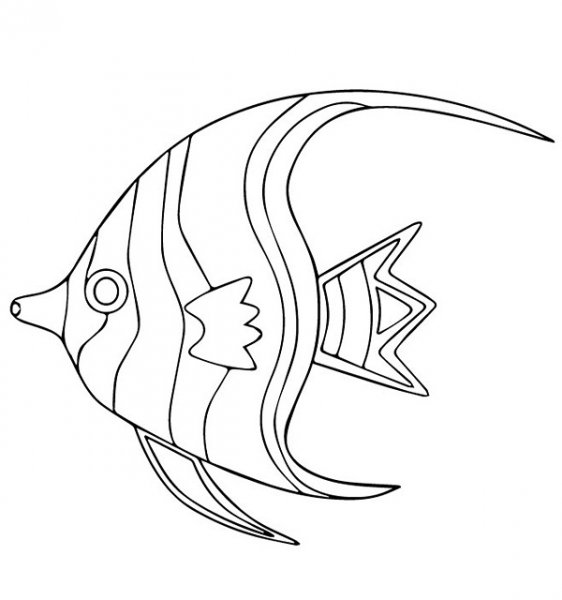  عکس ماهی نقاشی