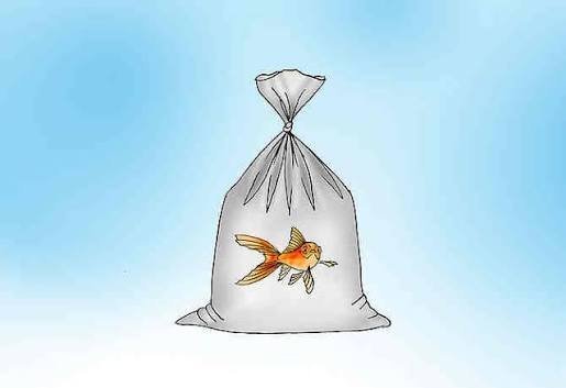  نقاشی ماهی در آب
