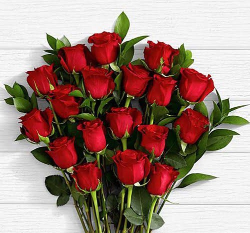عکس هنری دسته گل رز قرمز