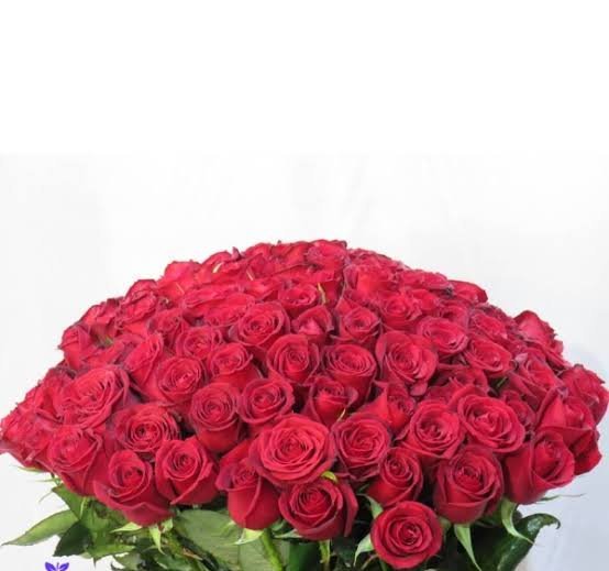  عکس هنری دسته گل رز قرمز