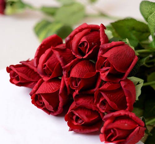  عکس هنری دسته گل رز قرمز