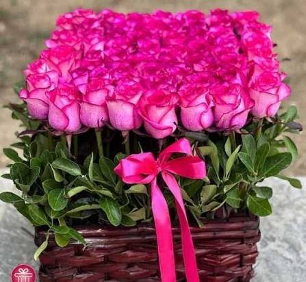  عکس دسته گل رز صورتی زیبا