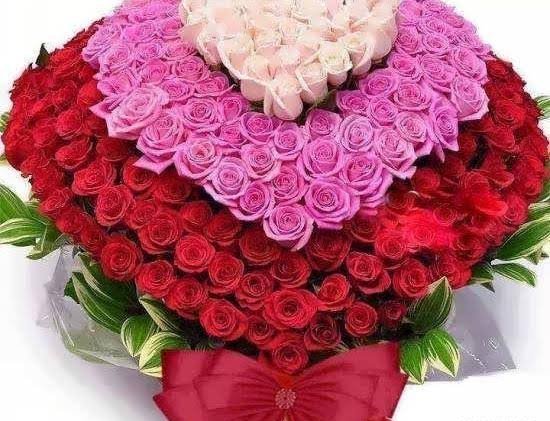  عکس پروفایل دسته گل زیبا برای واتساپ