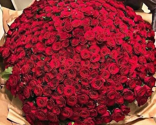  عکس پروفایل دسته گل زیبا برای واتساپ
