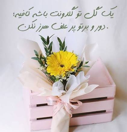  عکس پروفایل دسته گل زیبا برای واتساپ
