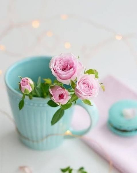  عکس پروفایل دسته گل زیبا برای واتساپ