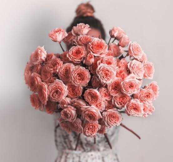  عکس پروفایل دسته گل زیبا برای واتساپ