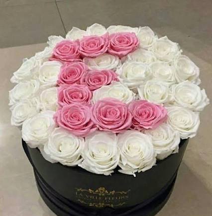  عکس پروفایل دسته گل زیبا برای واتساپ