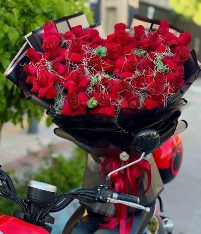  والپیپر گل رز قرمز عاشقانه جدید