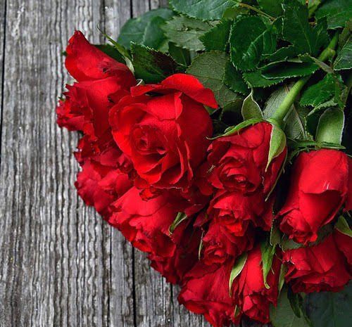  والپیپر گل رز قرمز عاشقانه جدید