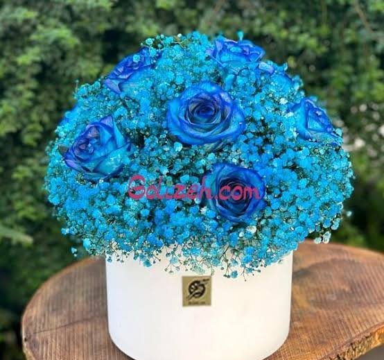  دسته گل ژیپسوفیلا و رز مینیاتوری