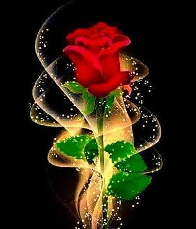  عکس تصویر زمینه گل های رز برای سالگرد ازدواج