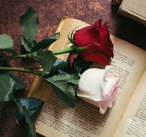  عکس تصویر زمینه گل های رز برای سالگرد ازدواج