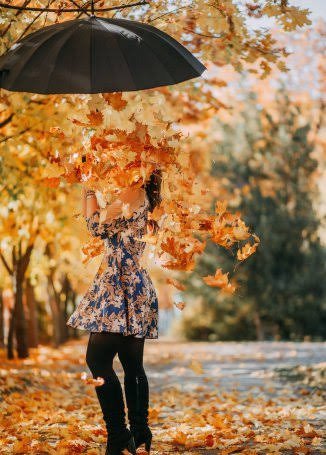  عکس پس زمینه منظره پاییزی قشنگ
