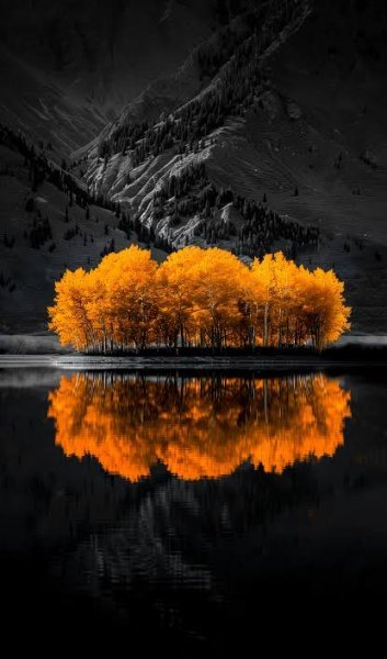  عکس پس زمینه منظره پاییزی قشنگ