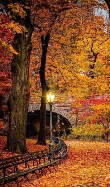  عکس پس زمینه منظره پاییزی قشنگ