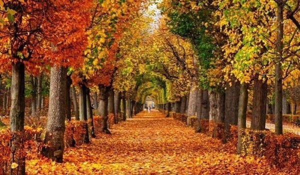  عکس پس زمینه منظره پاییزی قشنگ