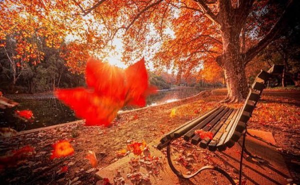  عکس پس زمینه منظره پاییزی قشنگ