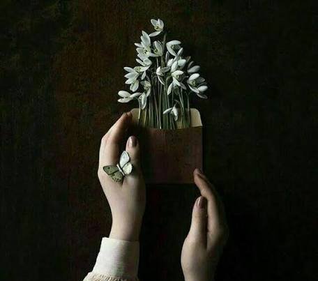  عکس هنری