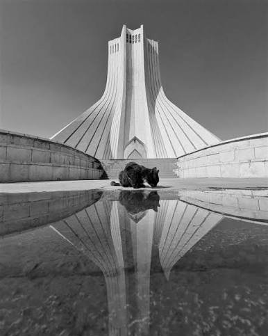  عکس هنری