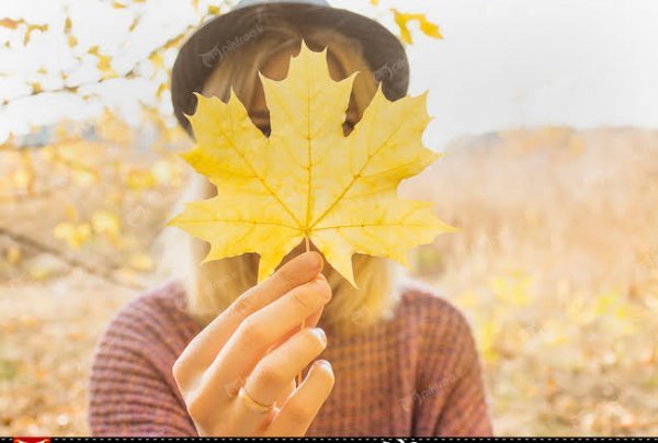  عکس برگ پاییزی در دست دختر
