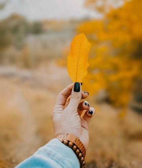  عکس برگ پاییزی در دست دختر