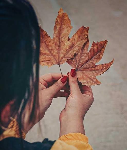  عکس برگ پاییزی در دست دختر