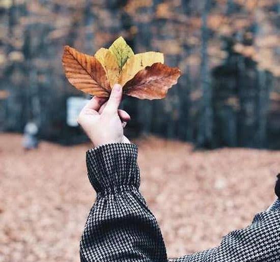  عکس برگ پاییزی در دست دختر