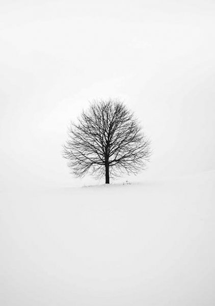  والپیپر مینیمال ساده برای گوشی آیفون و سامسونگ