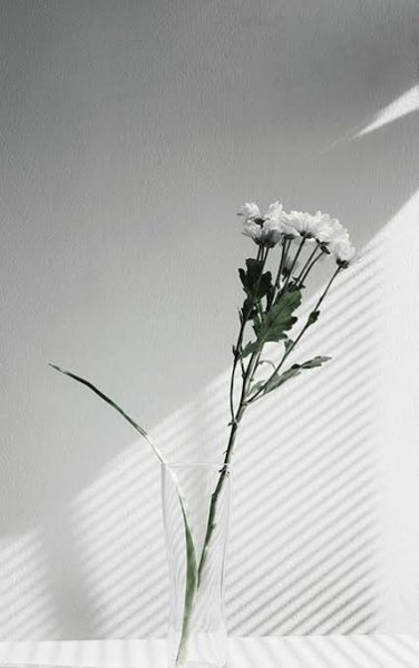  والپیپر مینیمال ساده برای گوشی آیفون و سامسونگ