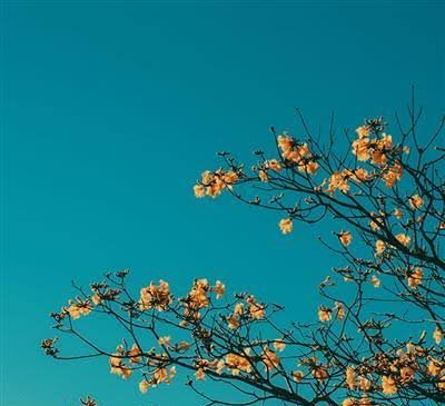  والپیپر مینیمال ساده برای گوشی آیفون و سامسونگ