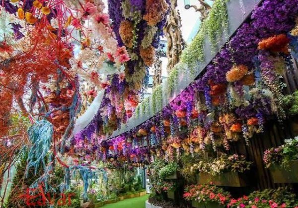  عکس جاهای دیدنی سنگاپور مالزی