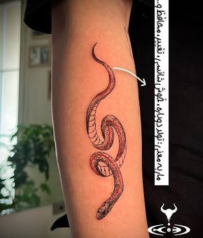  عکس طرح تاتو مار فانتزی