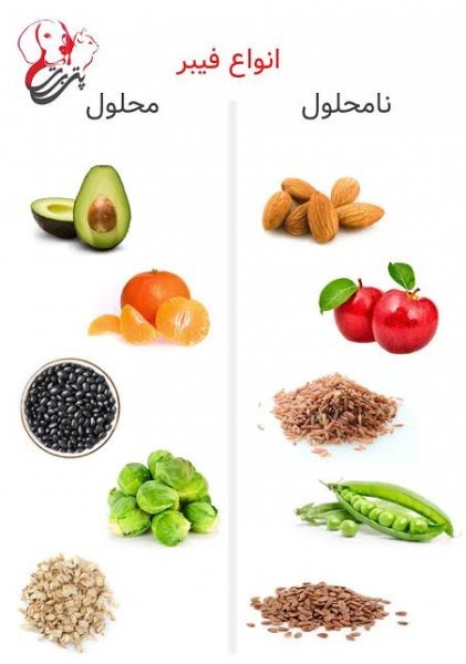  عکس مواد غذایی فیبردار