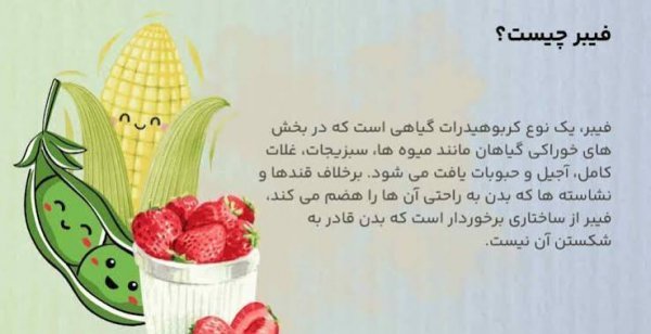  عکس غذاهای فیبردار برای ناهار