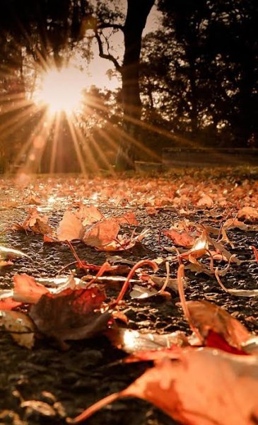  عکس پس زمینه ساده فول اچ دی برای تبلت