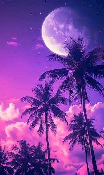  عکس تصویر زمینه درخت نخل برای گوشی