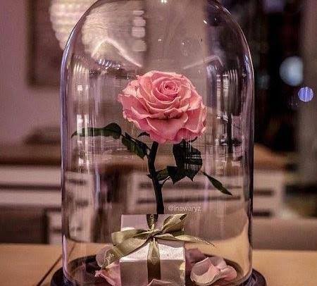  عکس دسته گل رز داخل گلدان شیشه ای با کیفیت عالی