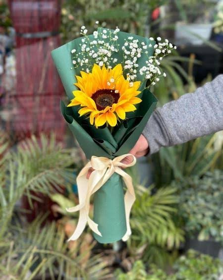  عکس دسته گل آفتاب گردان