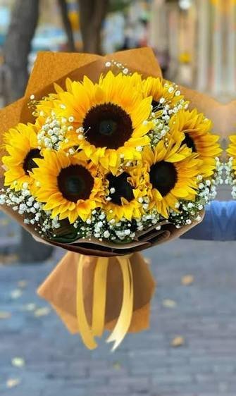  عکس دسته گل آفتاب گردان