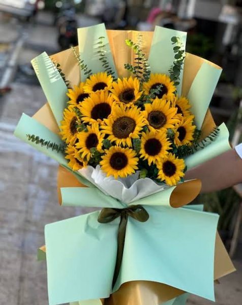  عکس دسته گل آفتاب گردان