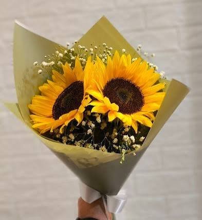  عکس دسته گل آفتاب گردان