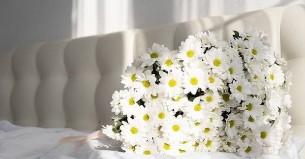  عکس دسته گل سفید