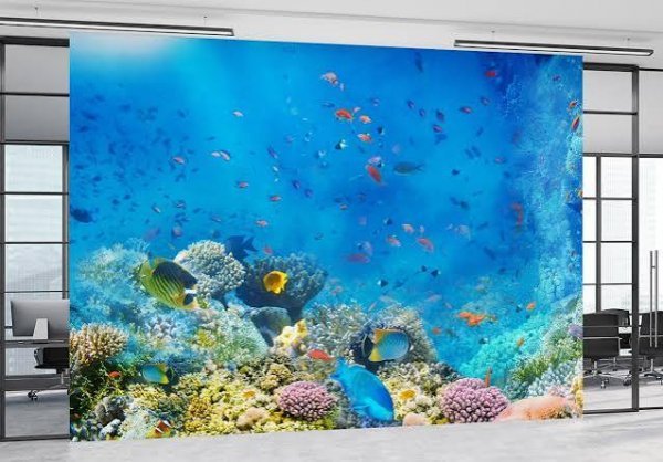  عکس پس زمینه آکواریوم ماهی